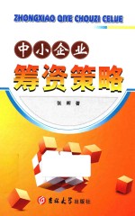 中小企业筹资策略