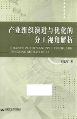产业组织演进与优化的分工视角解析