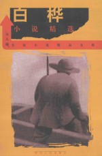 白桦小说精选