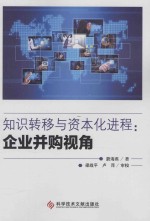 知识转移与资本化进程企业并购视角