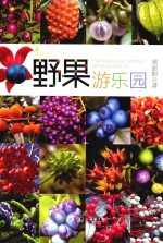 自然观察 野果游乐园