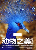 动物之美 精华版