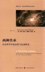 两种传承 社会科学中的定性与定量研究