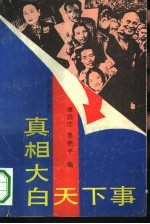 真相大白天下事