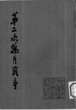 第二次鸦片战争 6