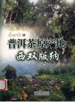 普洱茶原产地西双版纳