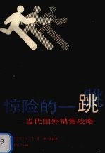 惊险的一跳 当代国外销售战略