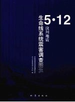 5·12汶川地震生命线系统震害调查图集