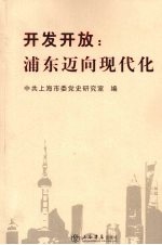 开发开放:浦东迈向现代化