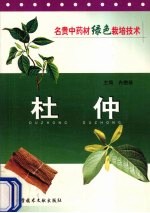 杜仲
