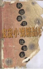 皮皮小说精品集 比如女人