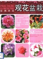 实用养花 观叶盆栽