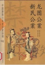 龙图公案 新民公案