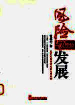 风险与发展