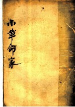 小革命家