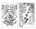 绘图品花宝
