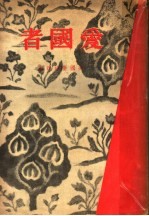 爱国者