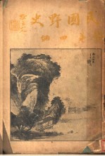 民国野史 第4编
