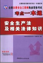 全国注册安全工程师执业资格考试考点一本通 安全生产法及相关法律知识