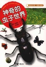 神奇的虫子世界