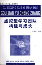 虚拟型学习团队构建与成长 赢得未来持久竞争优势的创新组织模式