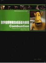 数字视频特效合成基础与表现Combustion