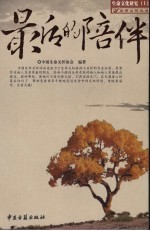 最后的陪伴