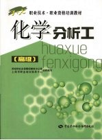 化学分析工 高级