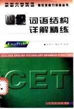 四级词语结构详解精练
