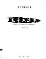 毛泽东逸事