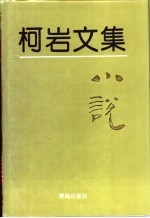 柯岩文集 第2卷 小说