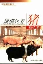 规模化养猪新技术
