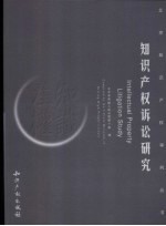 知识产权诉讼研究