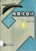 电算化会计