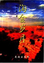 淘金岁月