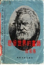 悲惨世界的画师 雨果传