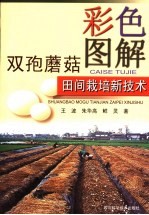 彩色图解双孢蘑菇田间栽培新技术