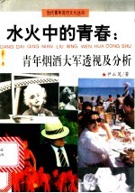 水火中的青春:青年烟酒大军透视及分析