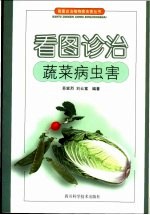 看图诊治蔬菜病虫害