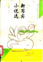 新写实小说选