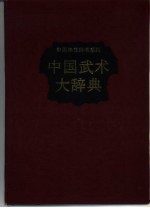 中国武术大辞典
