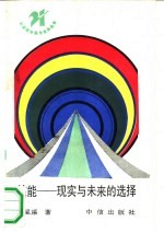 核能 现实与未来的选择