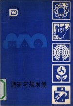 调研与规划集