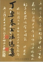 丁乐春书法选集