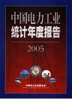 中国电力工业统计年度报告 2005