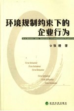 环境规制约束下的企业行为