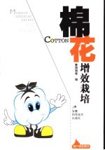 棉花增效栽培