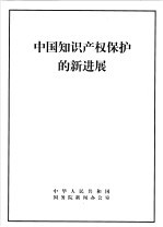 中国知识产权保护的新进展