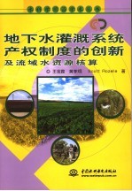 地下水灌溉系统产权制度的创新及流域水资源核算