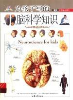 为孩子写的脑科学知识 预备篇